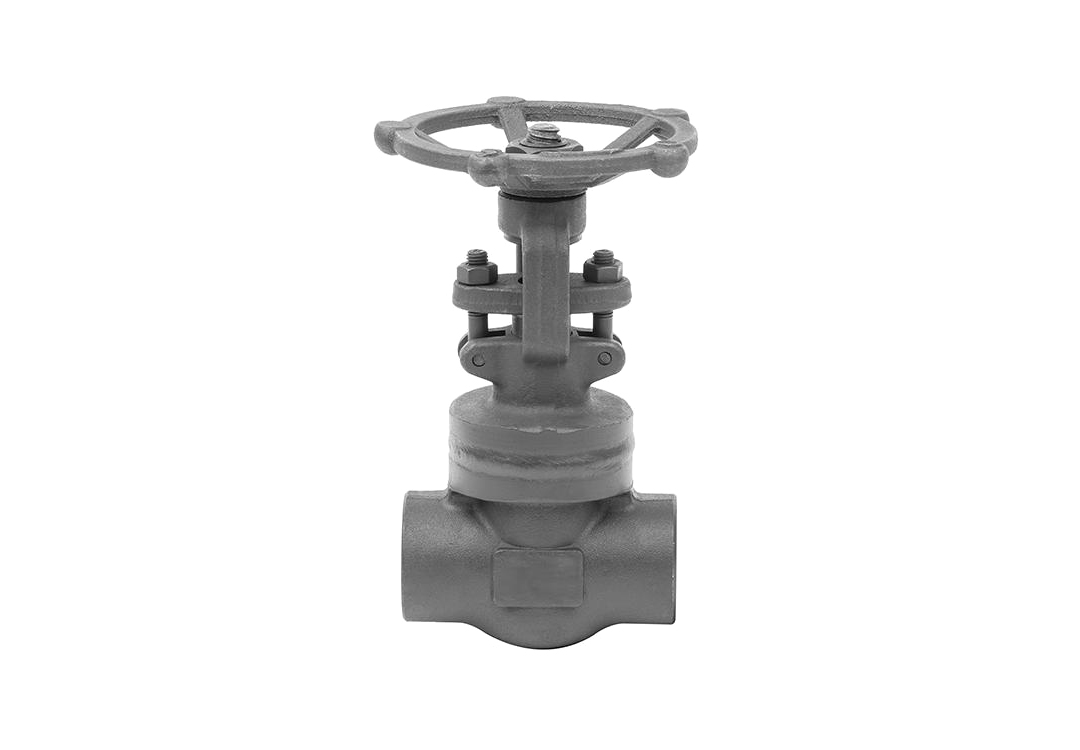 Bonnet Welded Gate Valve-HZ61Y-1500LB-1“-1