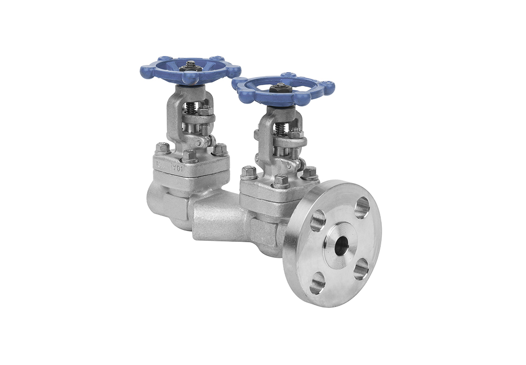 Back-blowing integral double gate valve