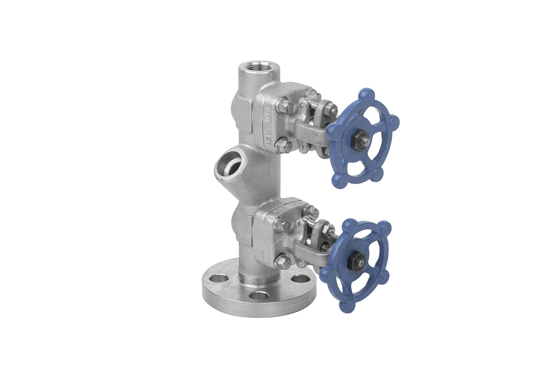 Back-blowing integral double gate valve