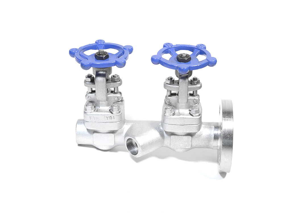 Back-blowing integral double gate valve