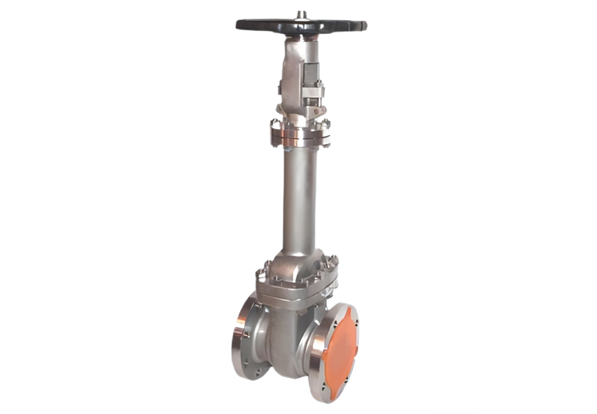 Cryogenic Stainless Steel Flanged Gate Valve