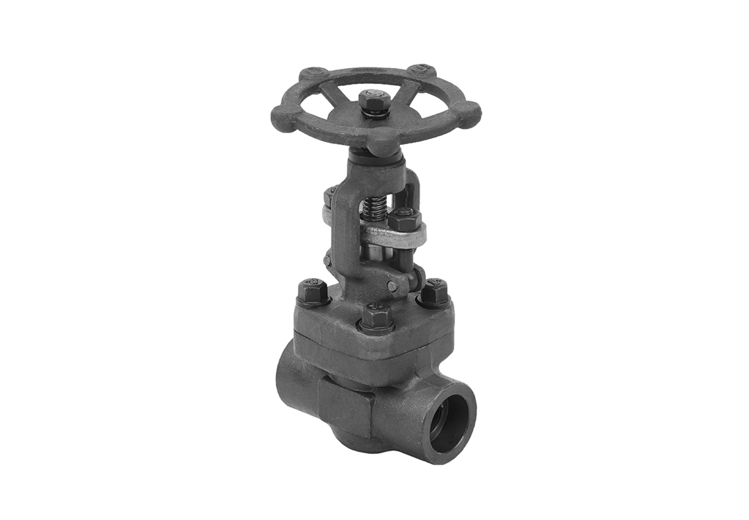 Alloy Steel Socket Weld Globe Valve