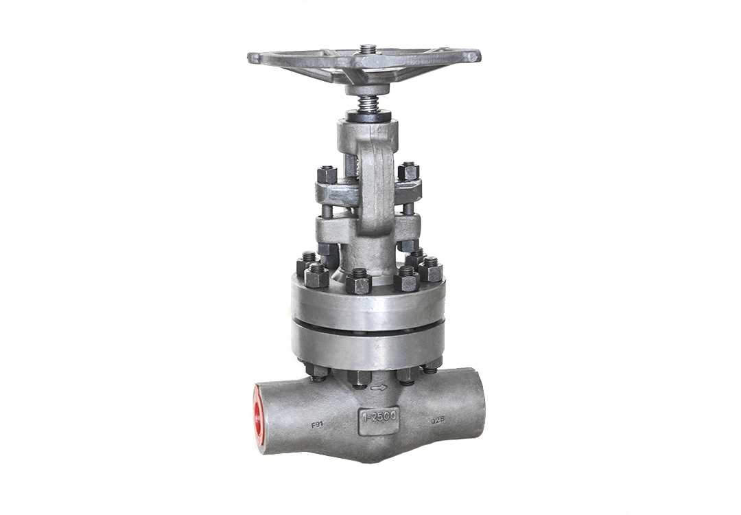 Bonnet Bolt High-Pressure Globe Valve