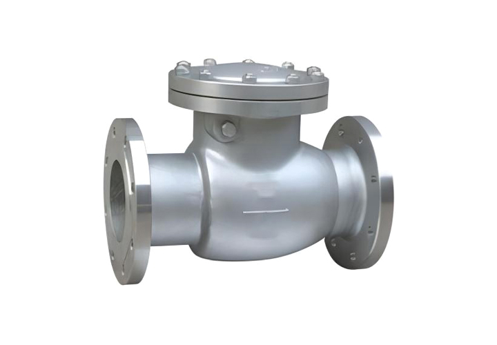 Cast Flanged Swing Check Valve