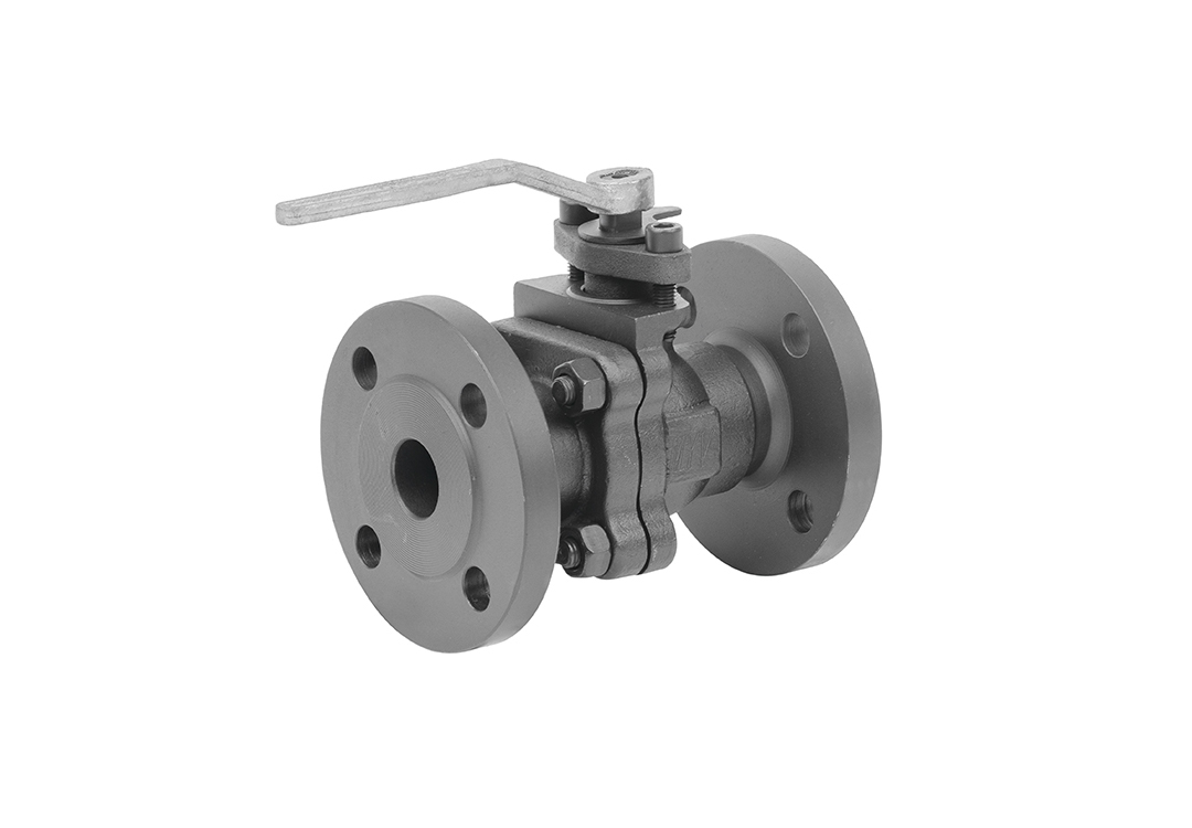 Forged Two-Piece Flanged Soft Seal Ball Valve